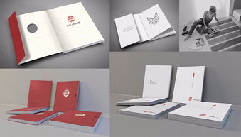 無錫專業(yè)廣告公司推薦 新產(chǎn)品形象包裝、推廣與VI設計及軟件開發(fā)一體化服務