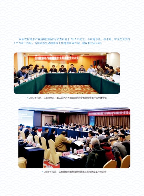 輝煌成就 水產(chǎn)技術(shù)推廣三十年回顧（第五期）——疫病防控、質(zhì)量安全與網(wǎng)絡(luò)技術(shù)服務(wù)的革新之路